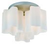Люстра потолочная ST Luce Onde (Онде) SL116.502.03