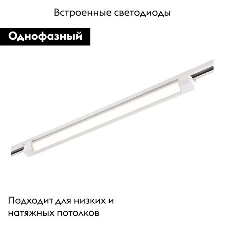 Трековый однофазный светильник ST Luce ST368.546.20.2