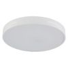 Люстра потолочная Natali Kovaltseva Modern (Модерн) LED LAMPS 81332