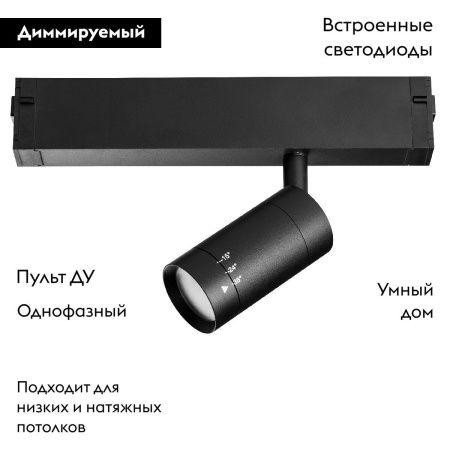 Трековый однофазный светильник Lightstar Teta (Тета) 205017R