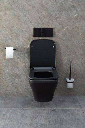 Чаша унитаза подвесная Allen Brau Infinity 4.21011.31 цвет черный без сиденья безободковая каскадный смыв