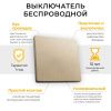 Выключатель беспроводной Feron TM181 41126