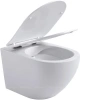 Комплект унитаз с инсталляцией с клавишей смыва Aquanet Cetus 00323468 подвесной