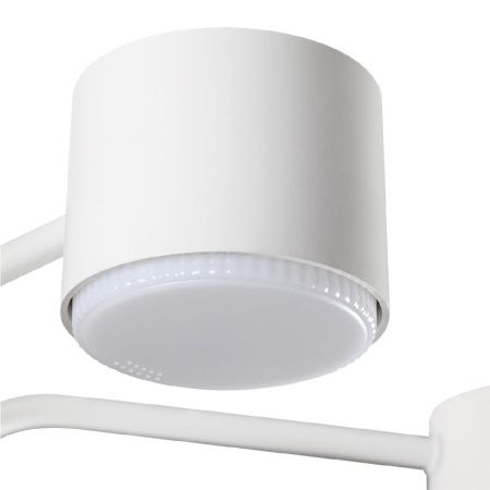Люстра на штанге Lumion Rondo (Рондо) 8231/6C
