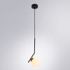 Светильник подвесной Arte Lamp Bolla-Unica (Болла-Уница) A1924SP-1BK