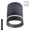 Светильник потолочный Arte Lamp Elle (Елле) A1909PL-1BK