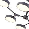 Светильник потолочный Evoluce Monta (Монта) SLE6003-702-06