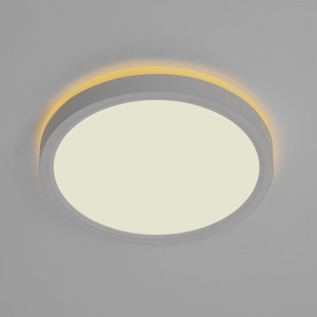 Светильник потолочный Citilux Norma (Норма) CL748180