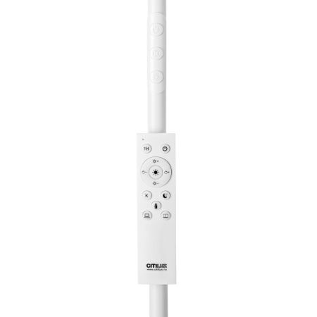 Торшер Citilux Solo (Соло) CL804060