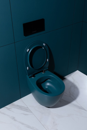 Чаша унитаза подвесная Allen Brau Fantasy 4.11004.PT цвет зеленый без сиденья безободковая каскадный смыв