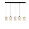 Светильник подвесной Delight Collection MD25020403-5B1