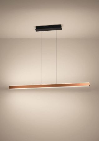Линейный подвесной светильник Eglo Ciggiano (Циггиано) 390499