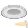 Светильник потолочный Myfar Despina (Деспина) MR9090-CL