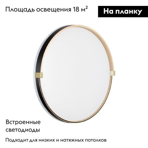 Настенно-потолочный светильник Sonex Olidi black (Олиди блацк) 7647/DL - фото 2