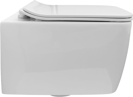 Чаша унитаза подвесная Allen Brau Liberty 4.33007.20 цвет белый без сиденья безободковая каскадный смыв