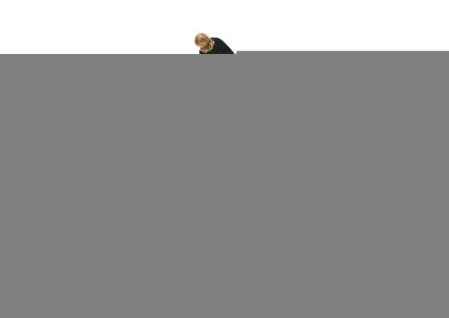 Смеситель Fiore 89ZZ5221 на раковину бронза - фото 2