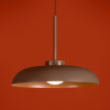 Светильник подвесной Freya Movement (Движение) FR5602PL-L5BR1