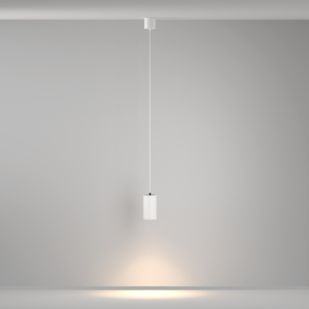 Светильник подвесной Maytoni Vol (Вол) P100PL-20W3K-W