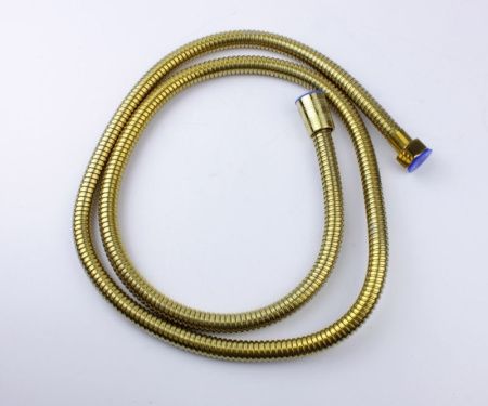 Гигиенический душ со смесителем Bronze de Luxe Element EL28GB черный/золото