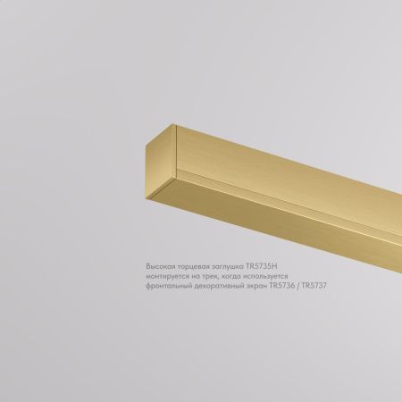 Торцевая заглушка Denkirs Shine base (Схине басе) TR5735H-SB