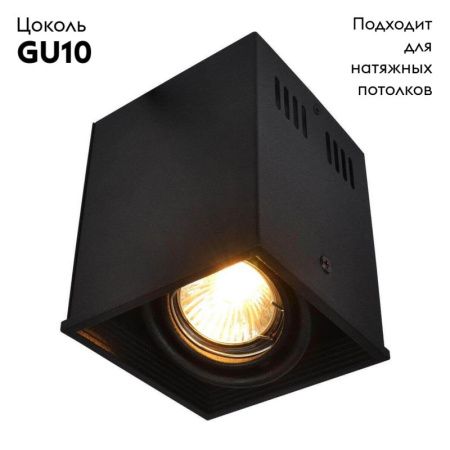 Светильник накладной Arte Lamp Cardani (Цардани) A5942PL-1BK
