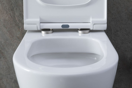 Чаша унитаза подвесная Allen Brau Priority 4.31001.20 цвет белый без сиденья безободковая каскадный смыв