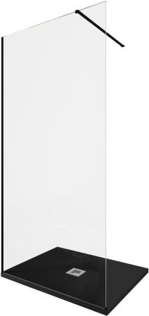 Душевая перегородка Allen Brau Infinity 3.21015.BBA 100х200 стекло прозрачное профиль черный