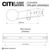 Светильник настенный Citilux Декарт CL704451