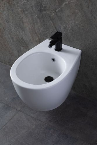 Биде Allen Brau Fantasy 4.11006.20 подвесное - фото 5