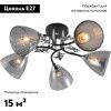Люстра потолочная Reluce 01525-0.3-05 BK+CR