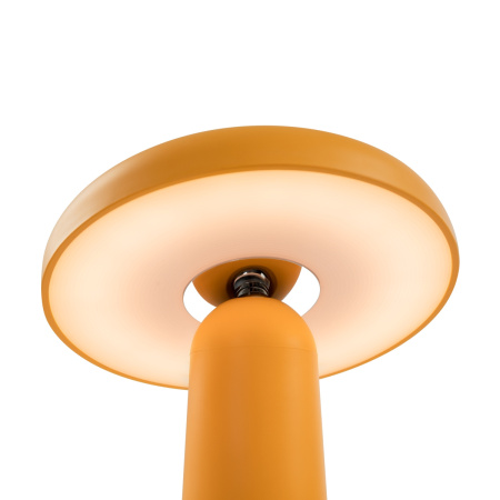 Настольная лампа аккумуляторная Freya Mushroom (Гриб) FR6109TL-L4OR