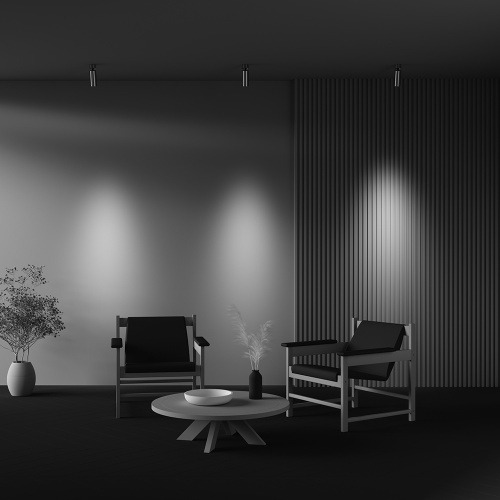 Спот Maytoni Technical FOCUS LED (Фокус) C055CL-L12W4K-W-PT - фото 2