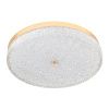 Светильник потолочный LED4U L1116-500 GD