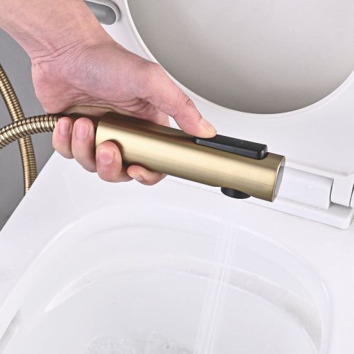 Гигиенический душ со смесителем Shevanik S6105G-1 золотой сатин - фото 4