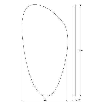 Зеркало с подсветкой Evoform Ledshine BY 2583 60х120 подвесное