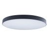 Светильник потолочный Loft It Axel 10002/48 Black