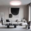 Светильник потолочный Citilux Norma (Норма) CL749500