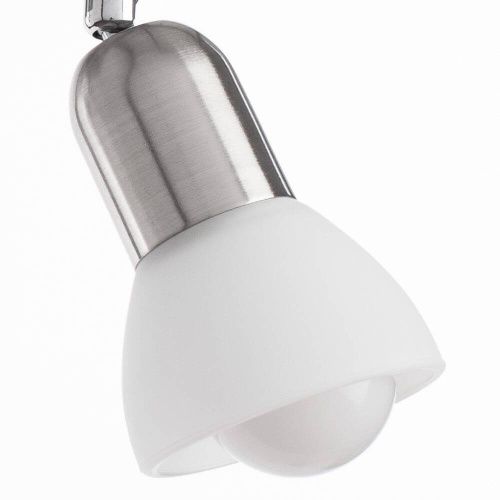 Спот Arte Lamp Falena (Фалена) A3115PL-2SS - фото 3
