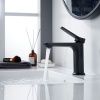 Смеситель Shevanik S43H S4301H на раковину черный