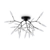 Светильник потолочный Freya Iris (Ирис) FR5067CL-27B