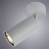 Спот Arte Lamp Aquarius (Акуариус) A3216PL-1GY