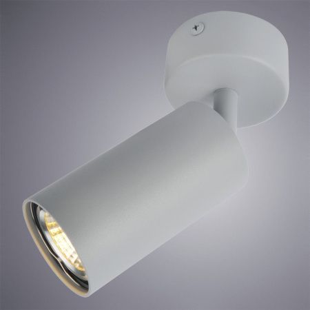 Спот Arte Lamp Aquarius (Акуариус) A3216PL-1GY