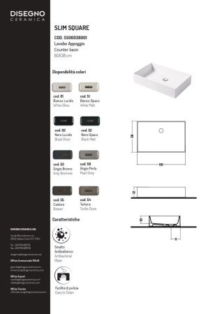 Раковина керамическая Disegno Ceramica Slim SS06038001 60х40 накладная цвет белый