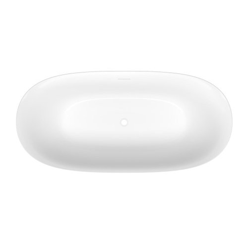 Ванна акриловая Wellsee Bliss 288201000 170х80 отдельностоящая овальная с ножками - фото 4 Ванна акриловая Wellsee Bliss 288201000 170х80 отдельностоящая овальная с ножками - фото 4