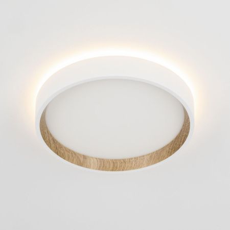 Светильник потолочный музыкальный Citilux Etalon (Еталон) CL750180