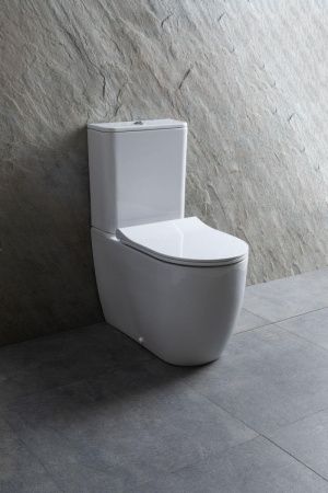 Чаша унитаза напольная Allen Brau Priority 4.31003.20 цвет белый без бачка с сиденьем микролифт безободковая каскадный смыв