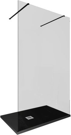 Душевая перегородка Allen Brau Infinity 3.21046.BBA.T 120х200 стекло тонированное профиль черный