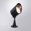 Прожектор уличный Arte Lamp Elsie (Елсие) A1024AL-1BK