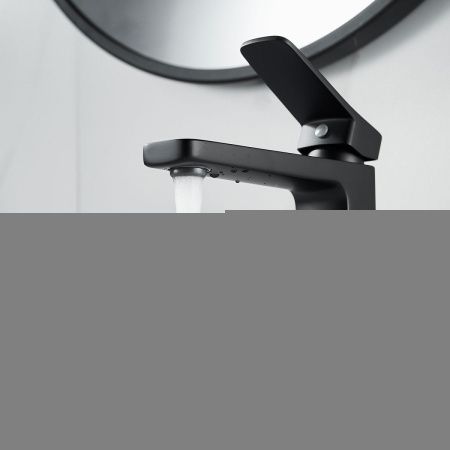 Смеситель Raffine F0199H на раковину черный