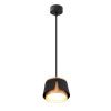 Светильник подвесной Arte Lamp Amaks (Амакс) A8028SP-1BK
